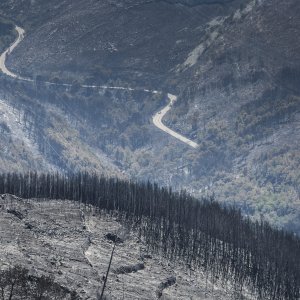 Zgarište u Žrnovnici u srpnju prošle godine