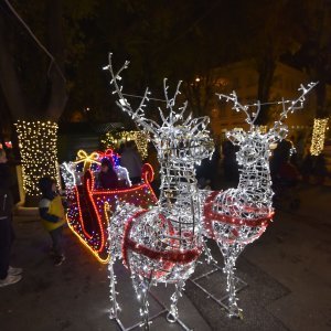 Otvorenjem klizališta i paljenjem digitalnog bora počeli blagdanski dani u Puli