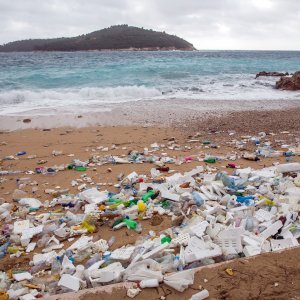 Nanosi smeća na plaži Banje u Dubrovniku