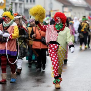 Velika Gorica: Velika fašnička povorka u sklopu 109. Turopoljskog fašnika