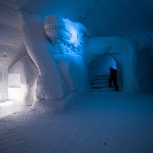 Hotel SnowVillage