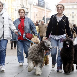 Nedjelja u Zagrebu