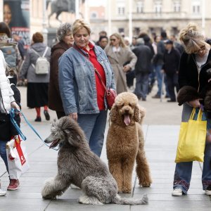 Nedjelja u Zagrebu