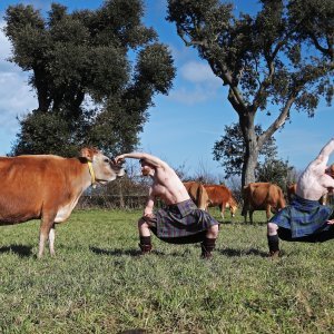 Kilted Yoga - Finlay Wilson i Stephen Winstanley