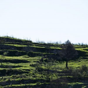 Žrnovnica se oporavila nakon velikog požara