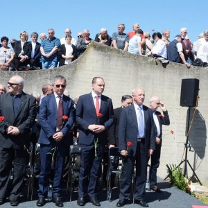 Veljko Kajtazi, Milorad Pupovac, Siniša Hajdaš Dončić, Dragutin Habulin