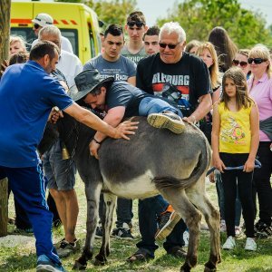 Na hipodromu u mjestu Oklaj održane 64. Prominske igre