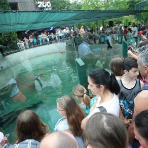 Zoološki vrt u centru Zagreba proslavio svoj veliki 93. rođendan