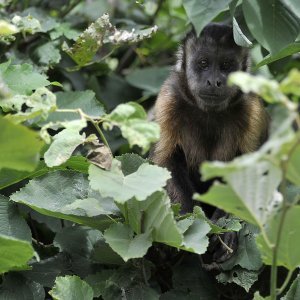 Zagrebački ZOO proslavio 93. rođendan