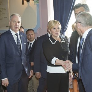 Nina Obuljen Koržinek, Andro Krstulović Opara, Kolinda Grabar Kitarović