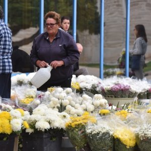 Od ranog jutra građani Šibenika kupuju cvijeće prije odlaska na groblje