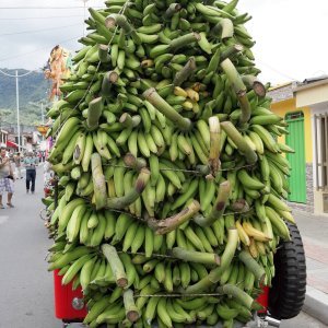 Parada prenakrcanih džipova