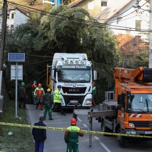 Bor za Trg bana Jelačića