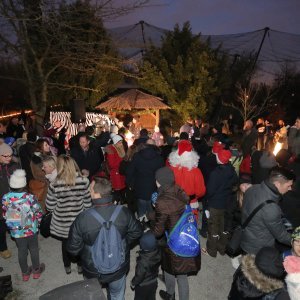 Advent u Maksimiru