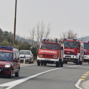 DVD Tisno organizirao prosvjed podrške za slučaj stradalog vatrogasca Franu Lučića