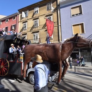 Održan 5. Pulski karneval