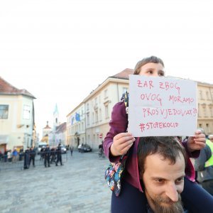 Prosvjed zbog sječe šuma