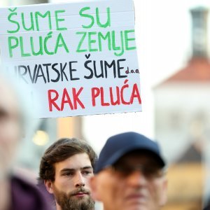 Prosvjed zbog sječe šuma