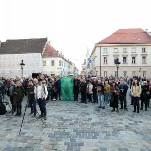 Prosvjed zbog sječe šuma