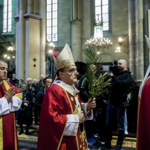 Cvjetnica u zagrebačkoj katedrali