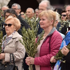 Šibenik: Biskup Tomislav Rogić u procesiji na Cvjetnicu blagoslovio maslinove grančice