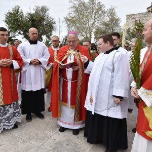 Šibenik: Biskup Tomislav Rogić u procesiji na Cvjetnicu blagoslovio maslinove grančice