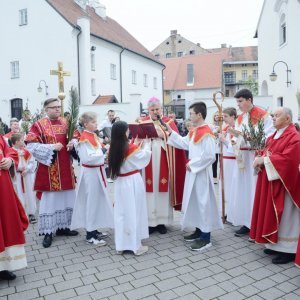 Sisak: Procesiju Cvjetnice i blagoslov maslinovih grančica predvodio biskup Vlado Košić