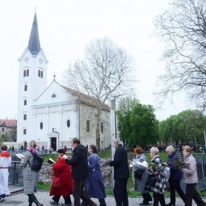 Sisak: Procesiju Cvjetnice i blagoslov maslinovih grančica predvodio biskup Vlado Košić