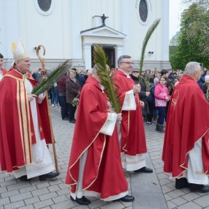 Sisak: Procesiju Cvjetnice i blagoslov maslinovih grančica predvodio biskup Vlado Košić