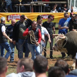 Dicmo: 15. bikijada braće Kokan