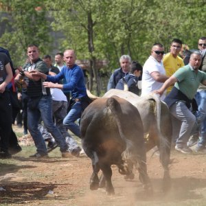 Dicmo: 15. bikijada braće Kokan