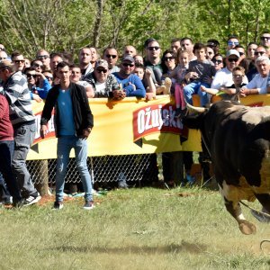 Dicmo: 15. bikijada braće Kokan