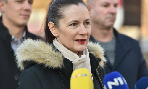 Vesna Vučemilović