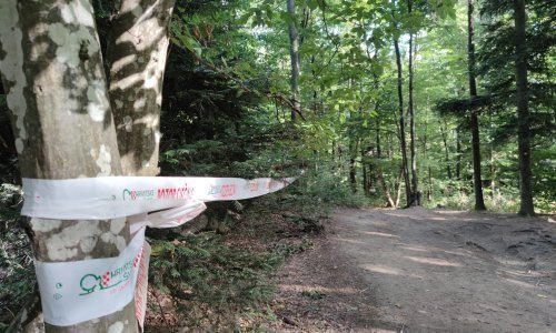 Na Sljemenu iz šahtova izviru fekalije, ugroženi izvori pitke vode