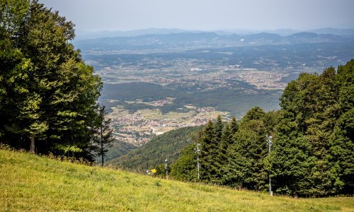Park prirode Medvednica upozorio posjetitelje: Popularna staza pod opsadom stršljena