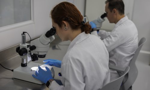 DNK iz masovne grobnice otkrio patogene koji su uništili Napoleonovu vojsku