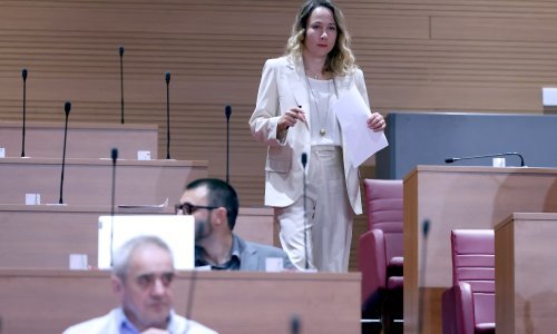 Sabor raspravlja o prijedlogu Selak Raspudić za zabranu mobitela u školama