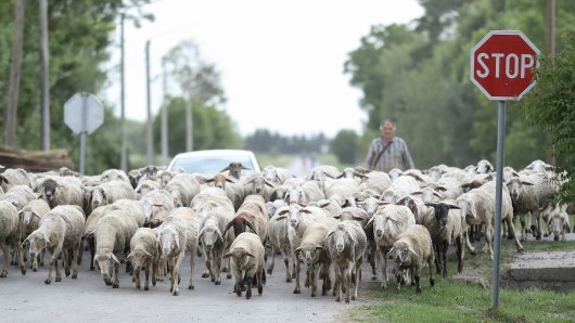 veliki problemi