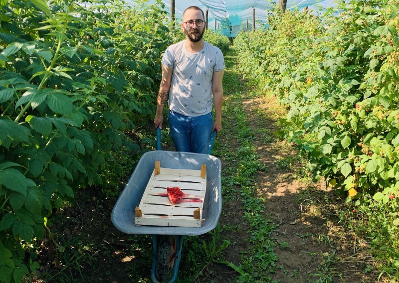 Probudio sam se prije zore i krenuo u polje. Dao sam sve od sebe, ali bakice su me svejedno prešišale. Bio bih se manje osramotio da nije bilo jedne stvari