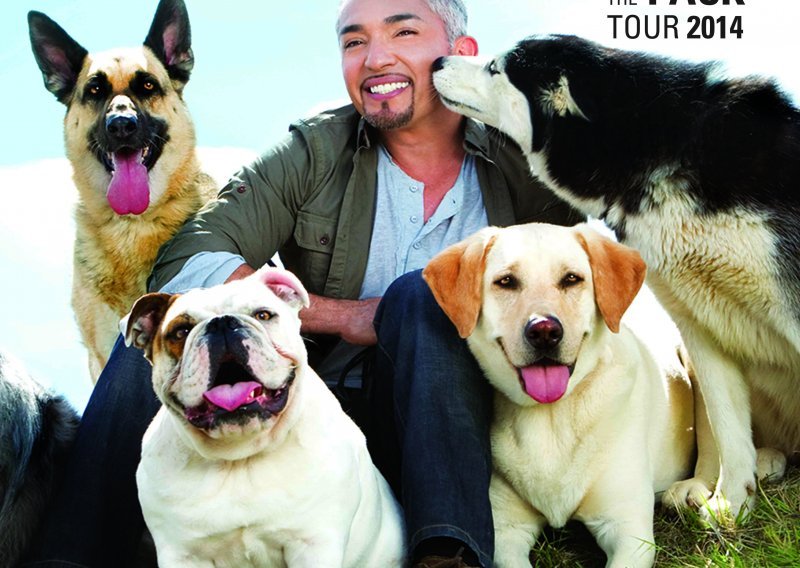 Je li Cesar Millan nasilan ili sjajan trener?