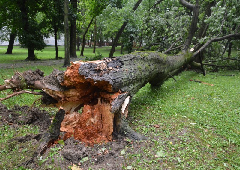 Zbrajaju se štete od nevremena u Zagorju, stiglo 70-ak dojava