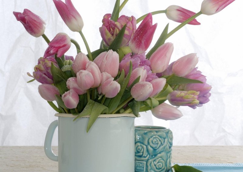 Kako tulipane što dulje održati svježima