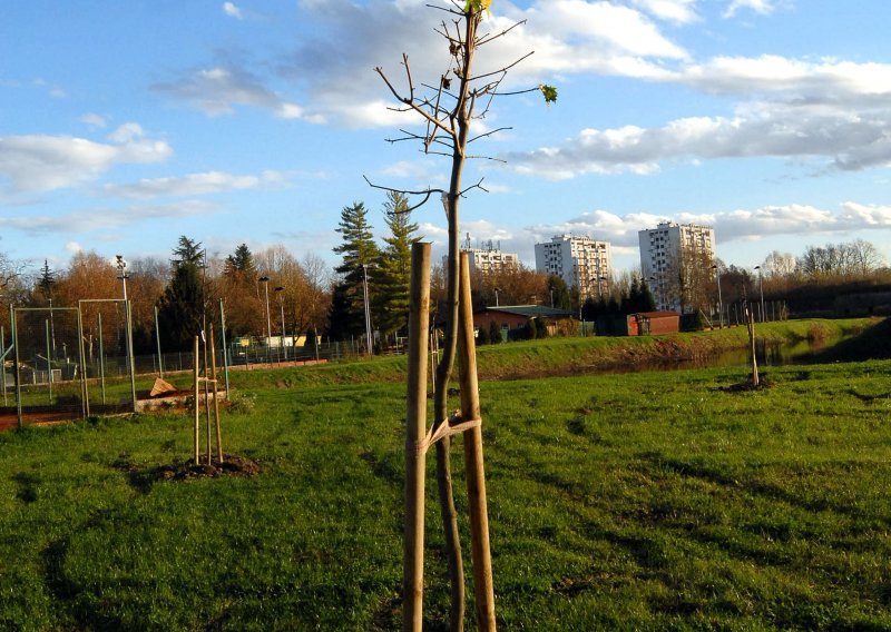 Posađeno 80 sadnica za Terapijski park 'Nikola Šebetić'