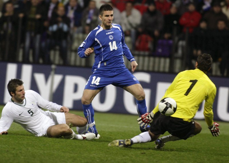 Ibišević do ljeta ostaje u Hoffenheimu