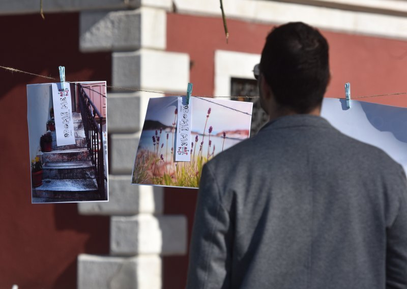 Na ulicama diljem Hrvatske osvanule fotografije, slike i knjige s porukama 'Udomi me'