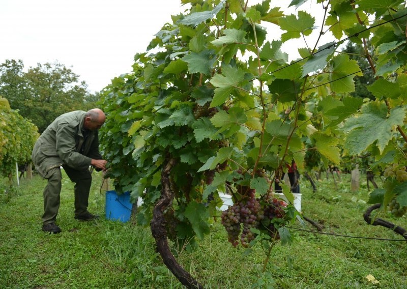 Lijepo vrijeme mami Varaždince u vikendice i vinograde, propusnice im obustavljene