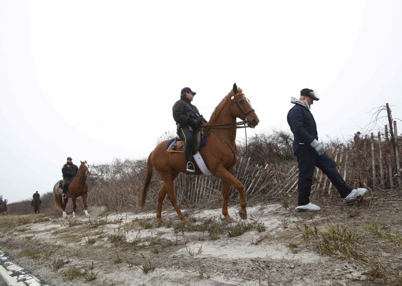 Serijski ubojica na Long Islandu - policajac?!