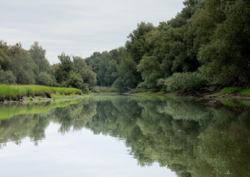 Od ponedjeljka radi Kopački rit; rekreativni ribolovci ponovno mogu na vodu