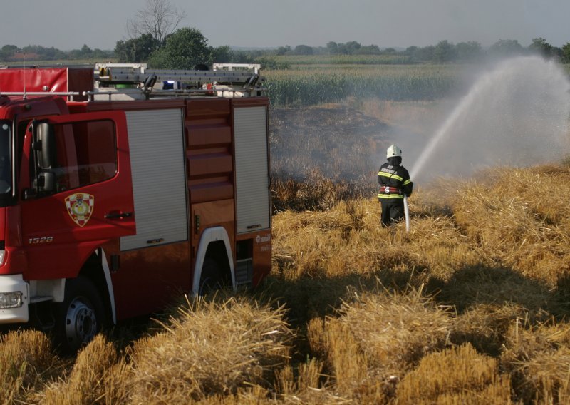 Gori polje pšenice uz cestu, auti se okretali u panici i bježali