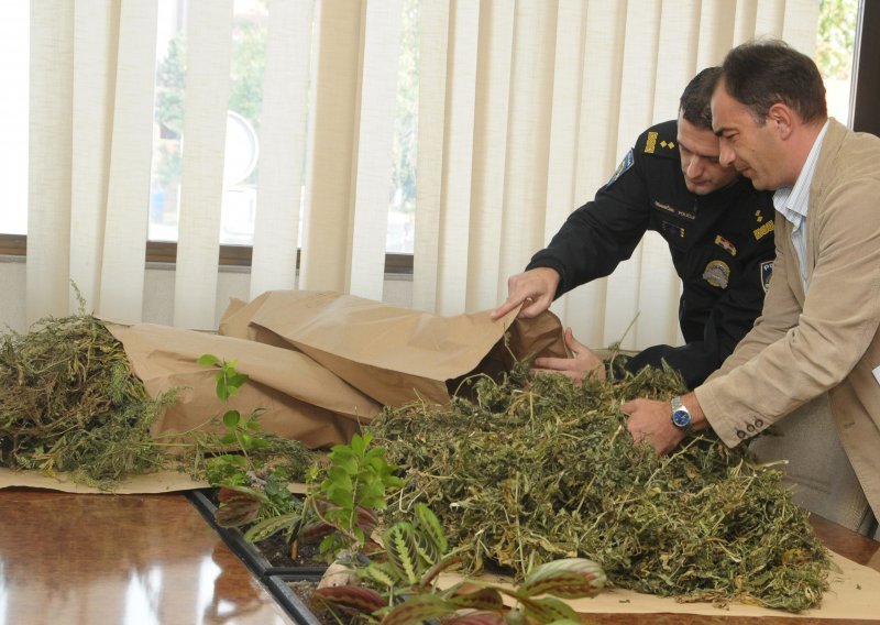 Zaplijenjeno 7,8 kilograma marihuane i kokain